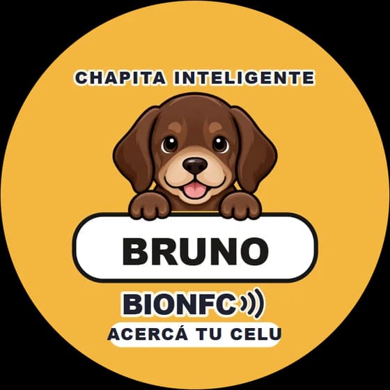 Chapita de Bruno: Labrador chocolate en amarillo