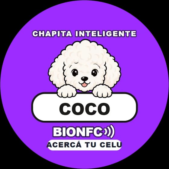 Chapita de Coco: Caniche en violeta