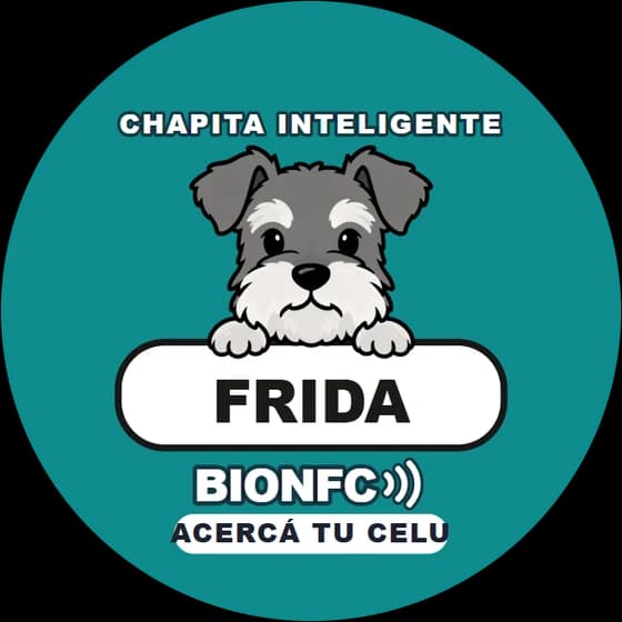 Chapita de Frida: Schnauzer en turquesa