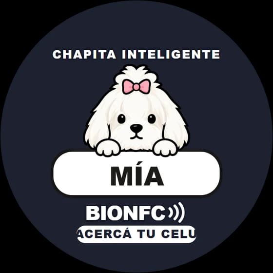 Chapita de Mía: Maltés en negro