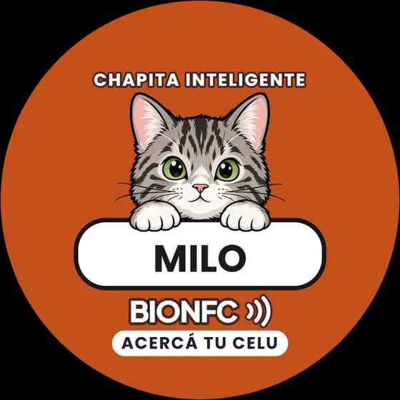 Chapita de Milo: Gato atigrado en naranja