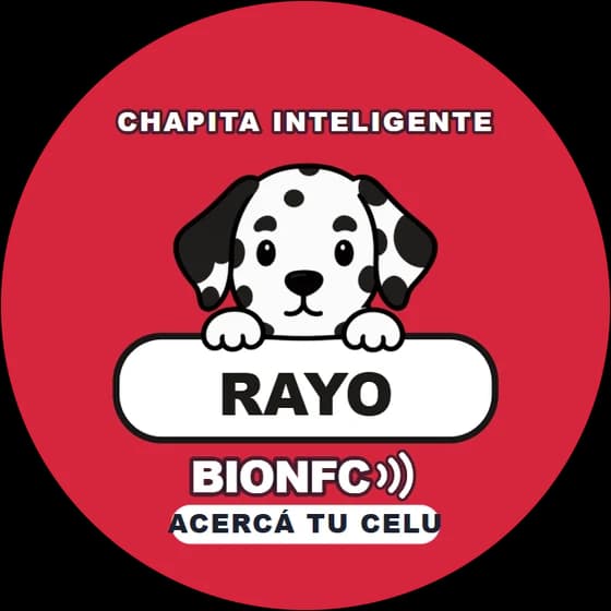Chapita de Rayo: Dálmata en rojo